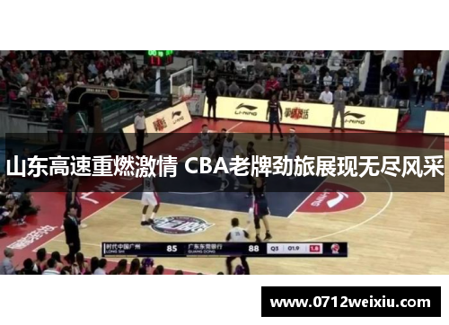 山东高速重燃激情 CBA老牌劲旅展现无尽风采